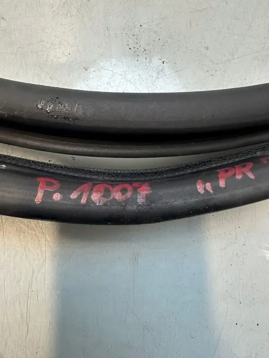 OEM XPP12212 Rechter voorportierdichting voor Peugeot 1007 image 5