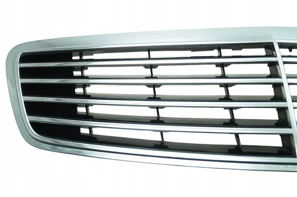 Griglia Mercedes Classe S W220 image 2