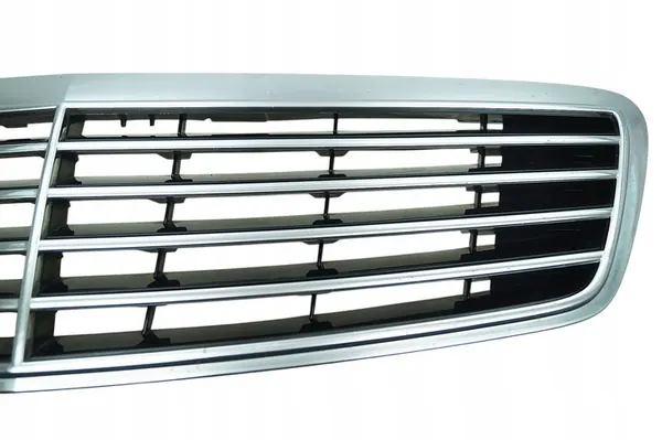 Griglia Mercedes Classe S W220 image 3