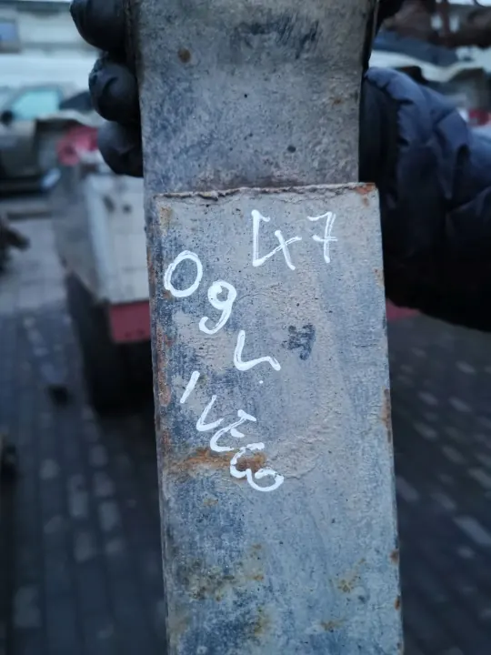 Achter bladveer OEM G56RE49GVRE6VVVCAS image 9
