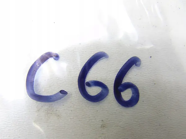 Wasdop rechtsvoor VW Passat CC 12R image 5