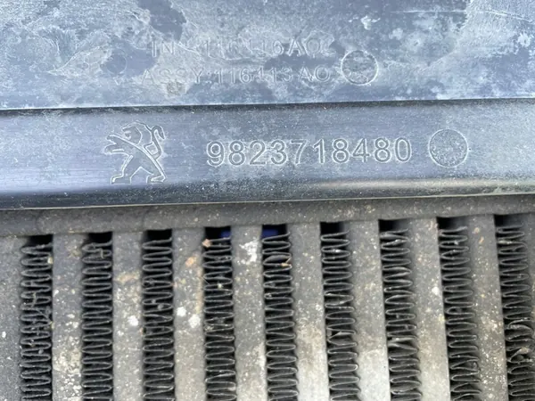 Voorste Radiator en Ventilator PEUGEOT 208 II image 5