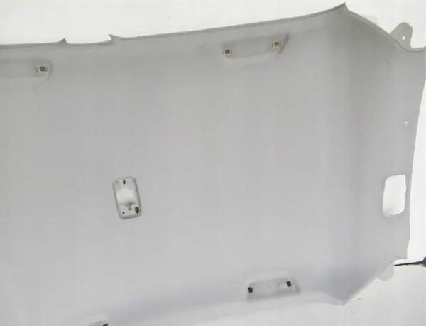 OEM 12429908230 Plafonnier pour Toyota Yaris II 2006-2011 image 3