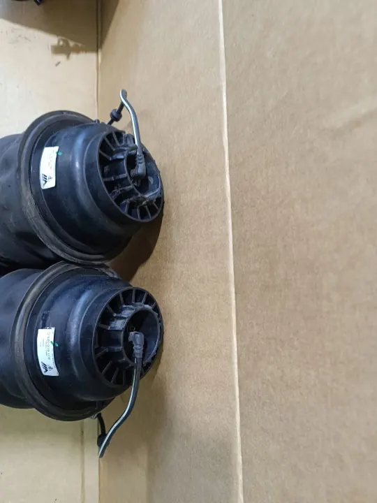 Porsche Taycan Bakre luftfjädring OEM 3432342341223 image 4