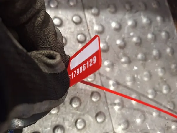 Snodo Posteriore Destro 68083244AE Fiat Freemont 4x4 image 5