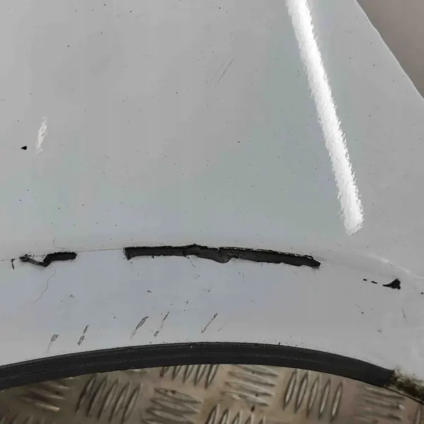 Parafango anteriore sinistro Ford OE image 3