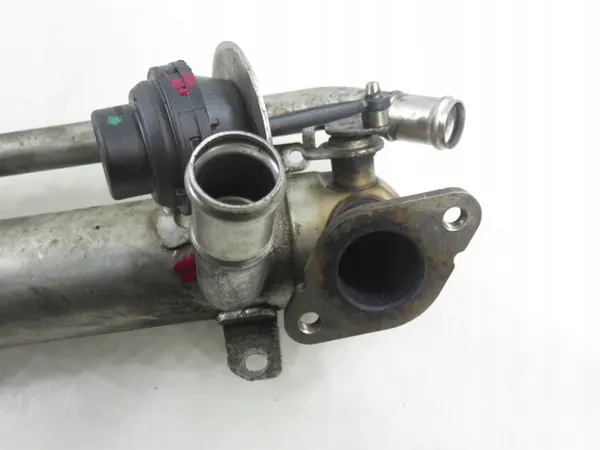 Refroidisseur d'échappement SEAT OE 03G131512AA image 3