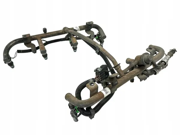 Bränsleinsprutningsskena 8.1L för Chevrolet, GMC, OEM 17124531 image 4