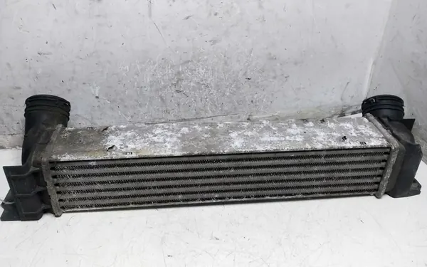 Intercooler Mercedes-Benz A W168 1999 3093796 image 3