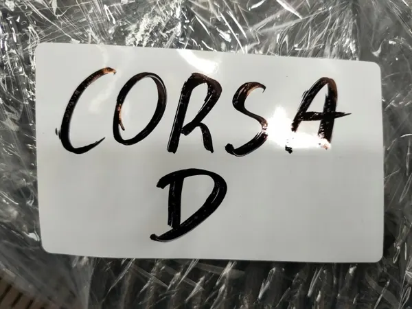 Kit Amortisseurs Arrière OPEL CORSA D avec Ressorts image 5