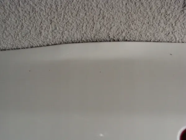 VW Touran I 1T0 03- Takaluukku image 4