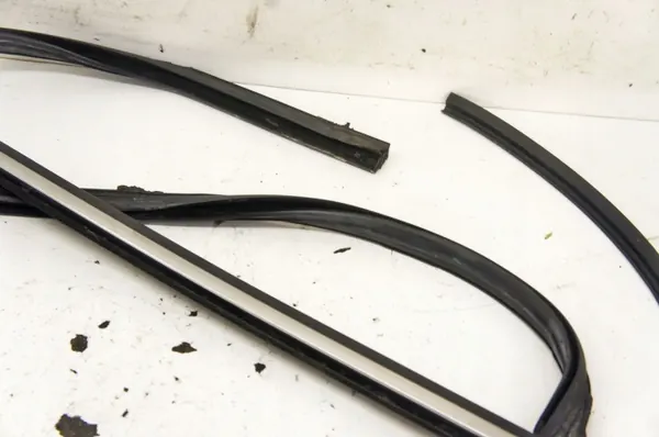 UV145 Ford Edge Mk2 Linke hintere Türglasdichtung image 3