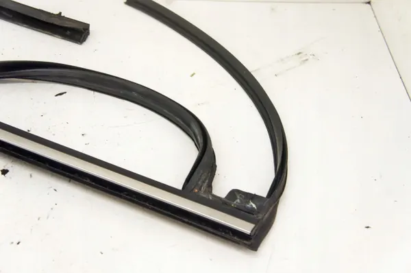 UV145 Ford Edge Mk2 Linke hintere Türglasdichtung image 4
