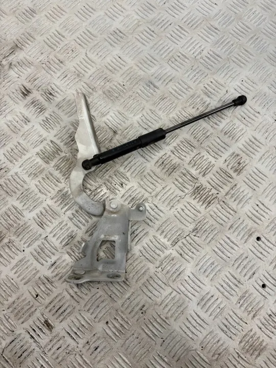 Dobradiça do Capô Esquerda OEM 654010249R Renault Trafic III image 2