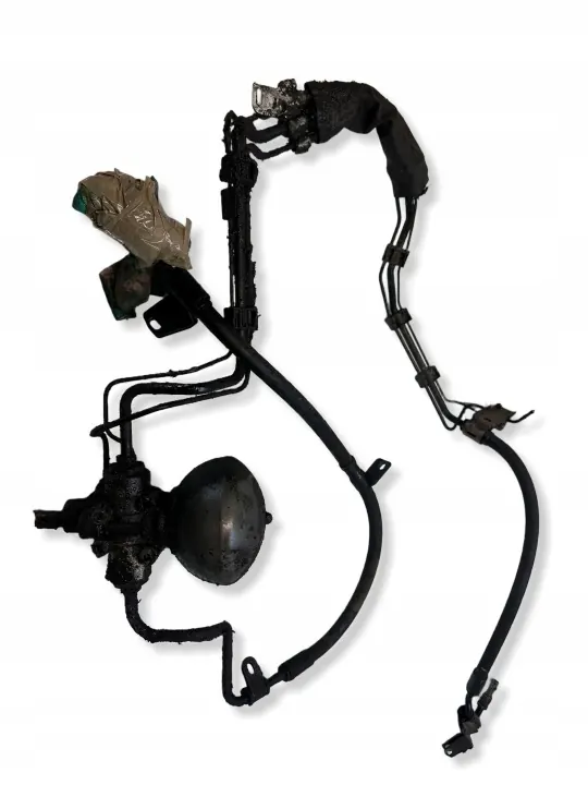 OEM 33312 Tyhjiöletku Lamppu Sääiliö Sarja Citroen image 2