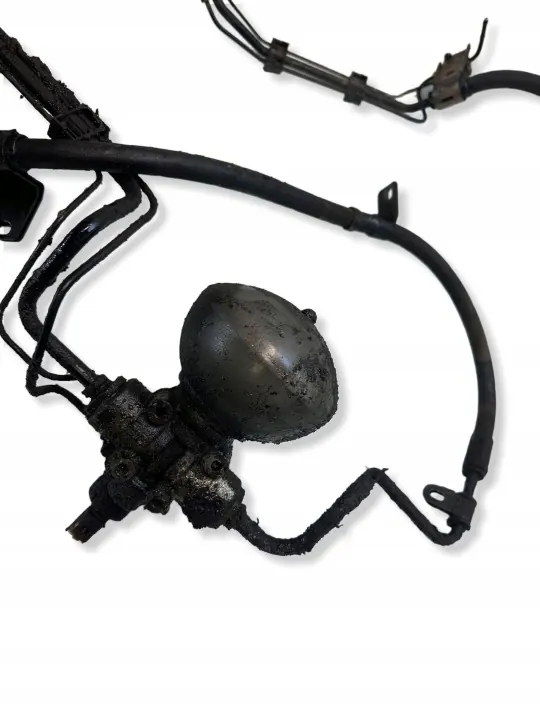 OEM 33312 Tyhjiöletku Lamppu Sääiliö Sarja Citroen image 3