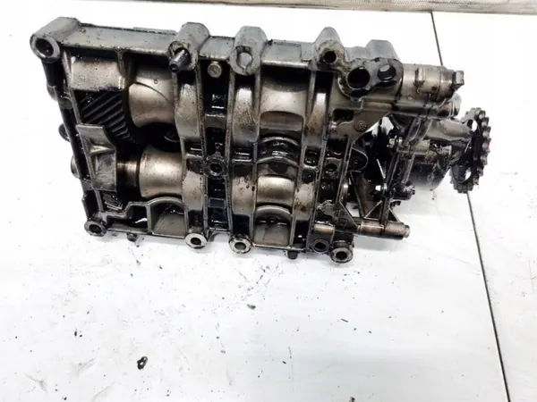 Oljepump OEM 9636898380 för Land Rover Freelander image 4