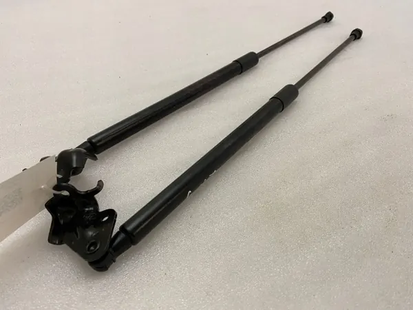 Lexus RX 450H 2021 Amortecedor do Capo OEM 534400E070 image 3