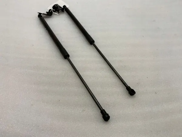 Lexus RX 450H 2021 Amortecedor do Capo OEM 534400E070 image 4