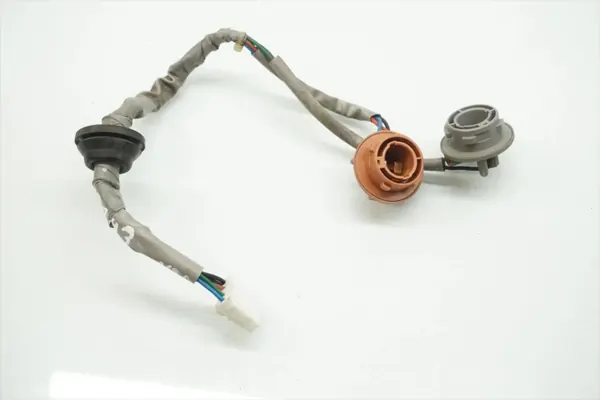Douille d'ampoule arrière gauche Hyundai Santa Fe 2007-2009 image 2