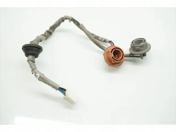Douille d'ampoule arrière gauche Hyundai Santa Fe 2007-2009 image 6