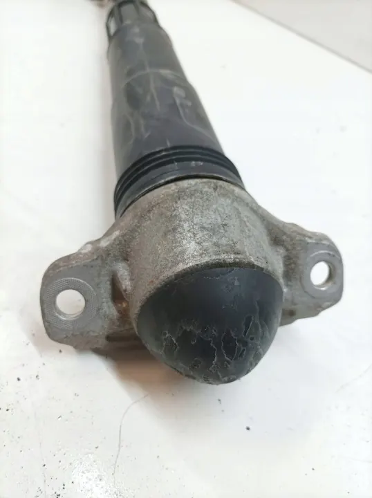 Hinterer DCC-Aktiver Stoßdämpfer OEM 20UC1521 image 4