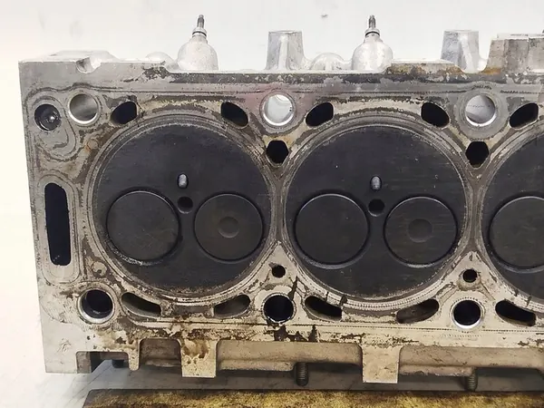 Motorblok Citroen Peugeot 2.0 HDI 8v image 8