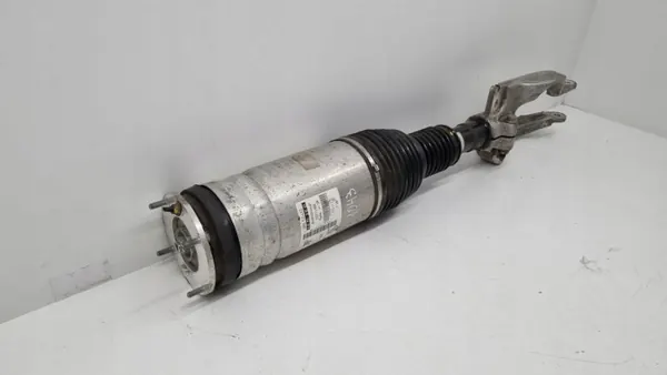 Amortisseur pneumatique avant droit OEM 22271466 image 3