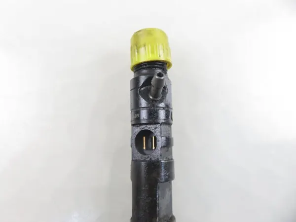 Delphi EJBR02301Z Injektor image 2