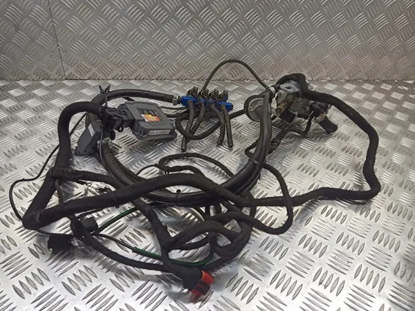 Kit d'installation GPL OEM 67R-013787 67R-035865 image 2