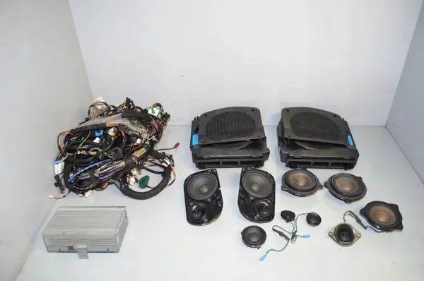Système audio OEM 65129266356 pour BMW 5 Touring F11 image 2