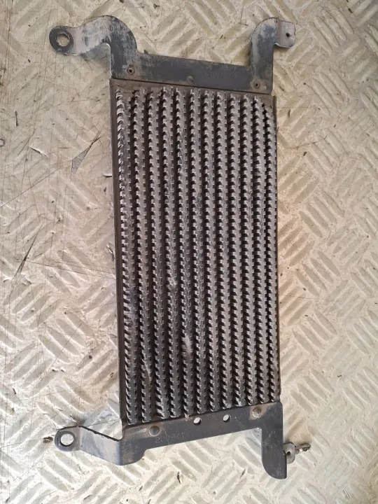 Refrigerador de combustible para Partner Berlingo III image 2