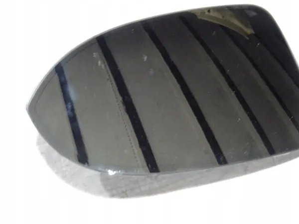 Insert Fotocromático Espejo Delantero Izquierdo OEM 3G0857521A image 3