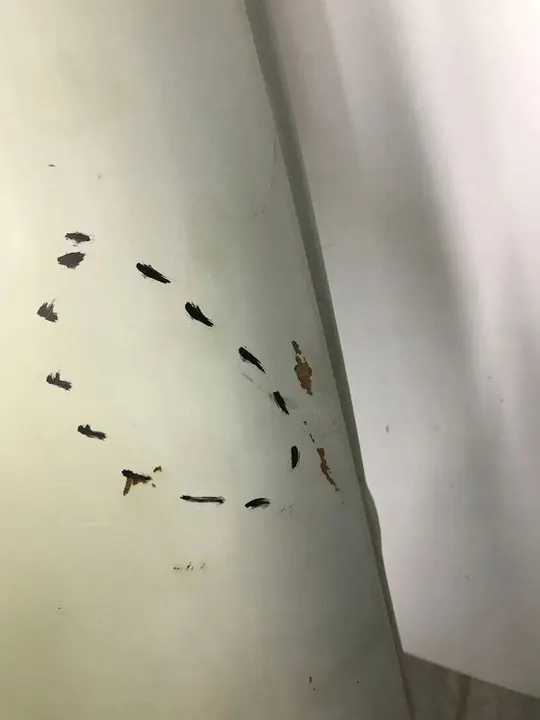 Parafango Sinistro VW Bora Jetta IV 98-05 OEM 1J5821021 image 5