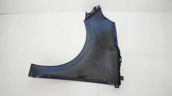 OEM 360203402 Etu-oikea lokasuoja Renault Grand Scenic image 7