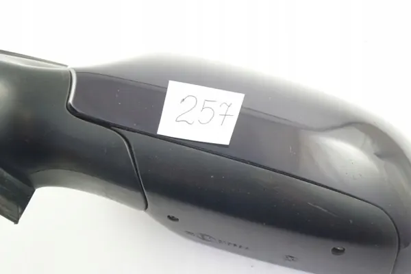 Espejo izquierdo OEM LY5K para Audi A4 B5 Lift Europa image 10
