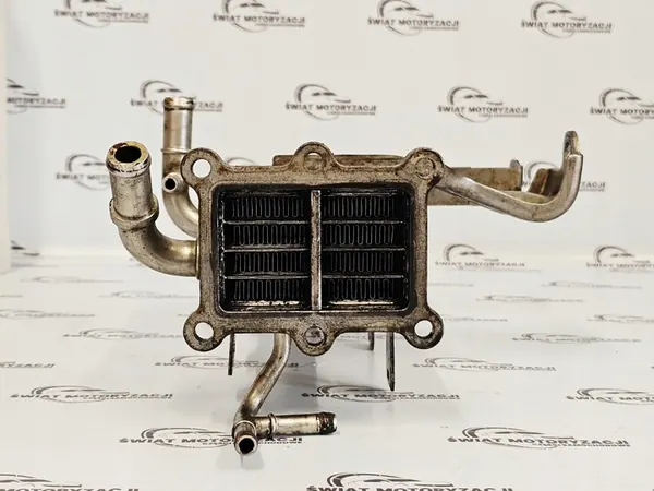 Pakokaasujäähdytin ORLANDO CRUZE 2.0 VCDI 25184582 image 3