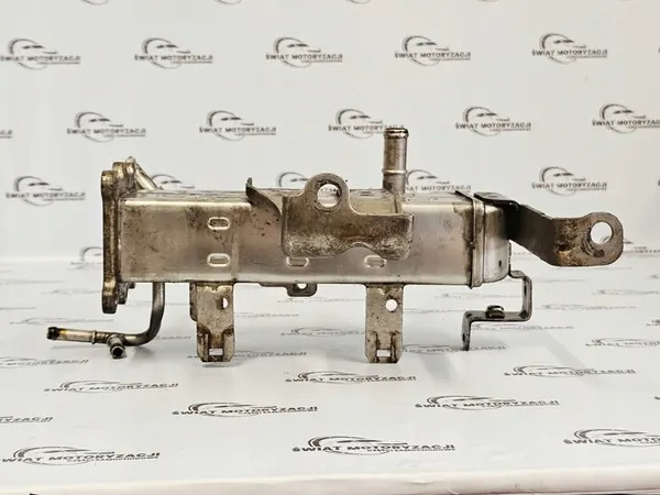 Pakokaasujäähdytin ORLANDO CRUZE 2.0 VCDI 25184582 image 4