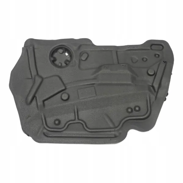 Isolamento Porta BMW X6 E71 OEM 7355620 Direito Dianteiro image 2