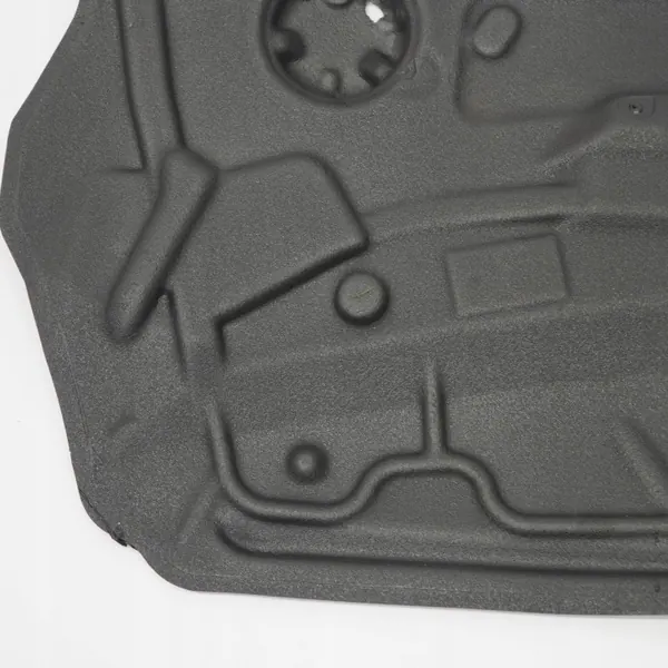 Isolamento Porta BMW X6 E71 OEM 7355620 Direito Dianteiro image 3