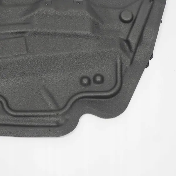 Isolamento Porta BMW X6 E71 OEM 7355620 Direito Dianteiro image 5