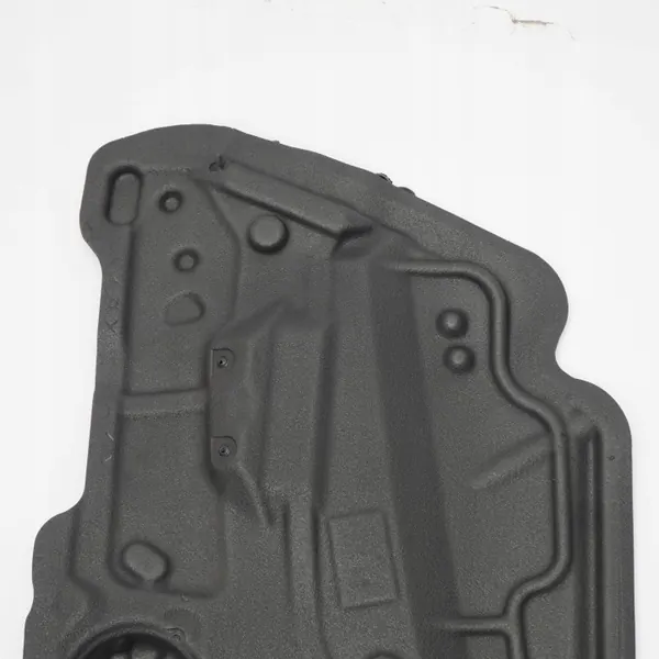 Isolamento Porta BMW X6 E71 OEM 7355620 Direito Dianteiro image 9