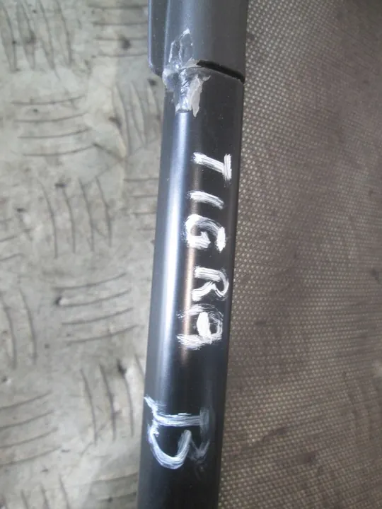 OPEL TIGRA B II Déflecteur de Pare-Brise image 2