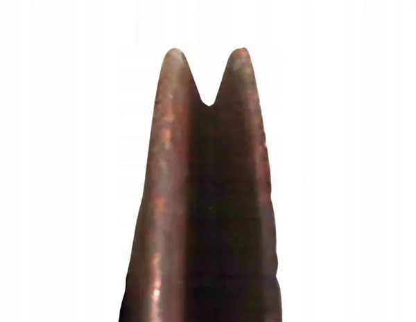 Polia do virabrequim VW Transporter T3 1.7 Diesel 79-02 OEM image 2