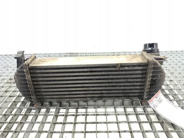 OEM 144963234R Intercooler för Mercedes Citan 1.5 image 2