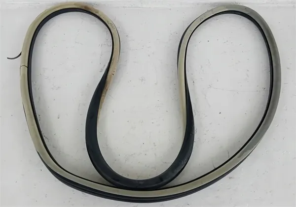 Front Left Door Seal Citroen C5 III X7 08-17 image 5