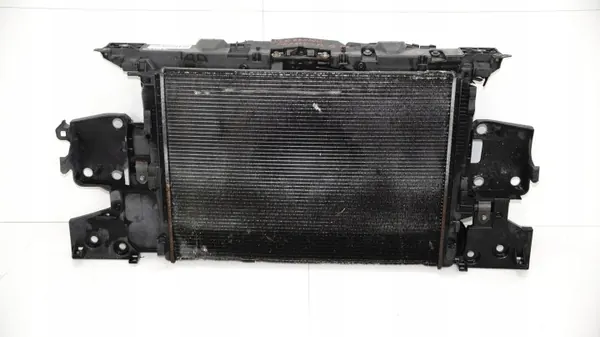 Framremsa OEM 360149579 för Renault Megane III 08-12 image 2