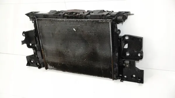 Framremsa OEM 360149579 för Renault Megane III 08-12 image 4