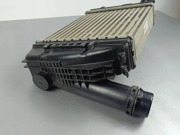 Intercooler Dacia Jogger 2024 144961019R image 3