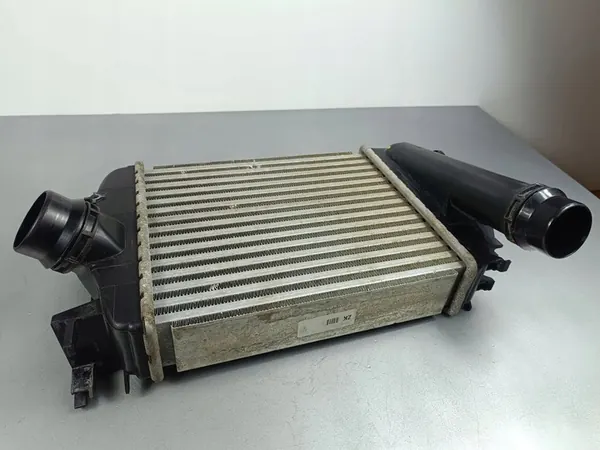 Intercooler Dacia Jogger 2024 144961019R image 5